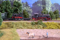 1-DSC_7066