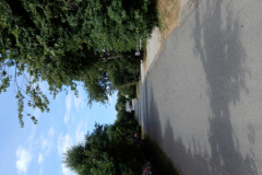 DSCN2257