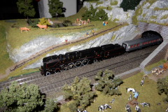 DSCN1164
