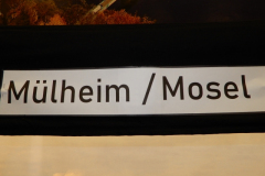 DSCN5221